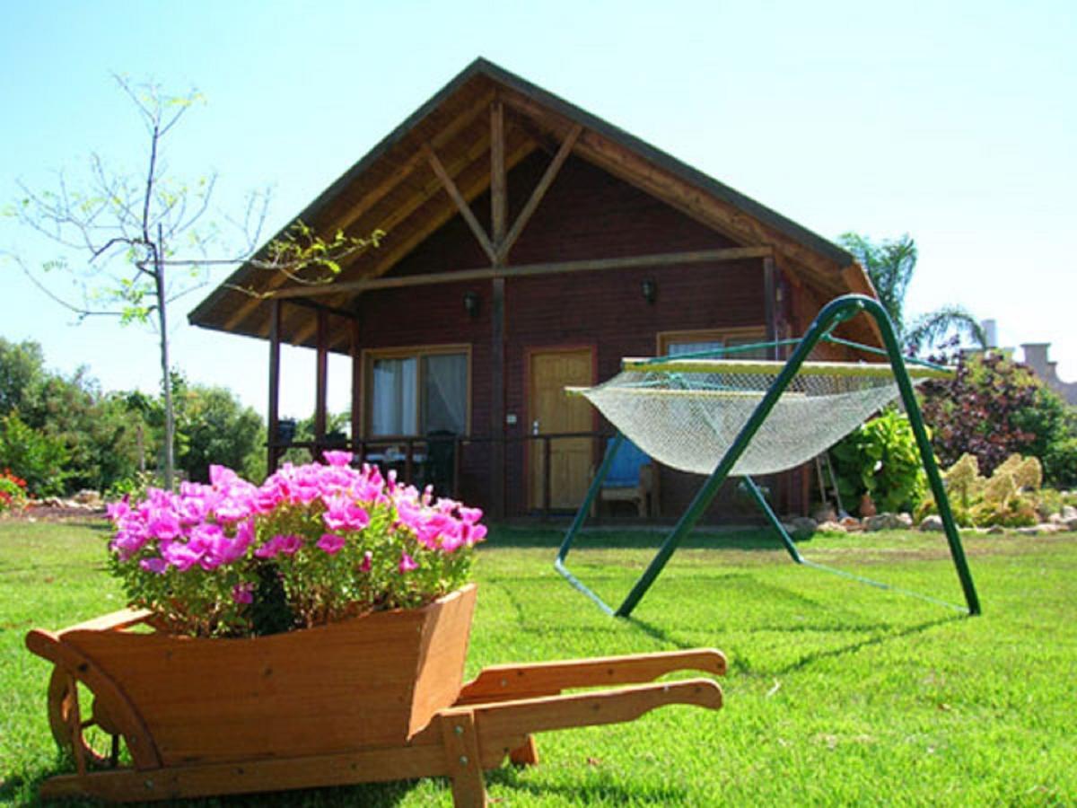 Villa Tal Nof Cabins Manot Zimmer foto