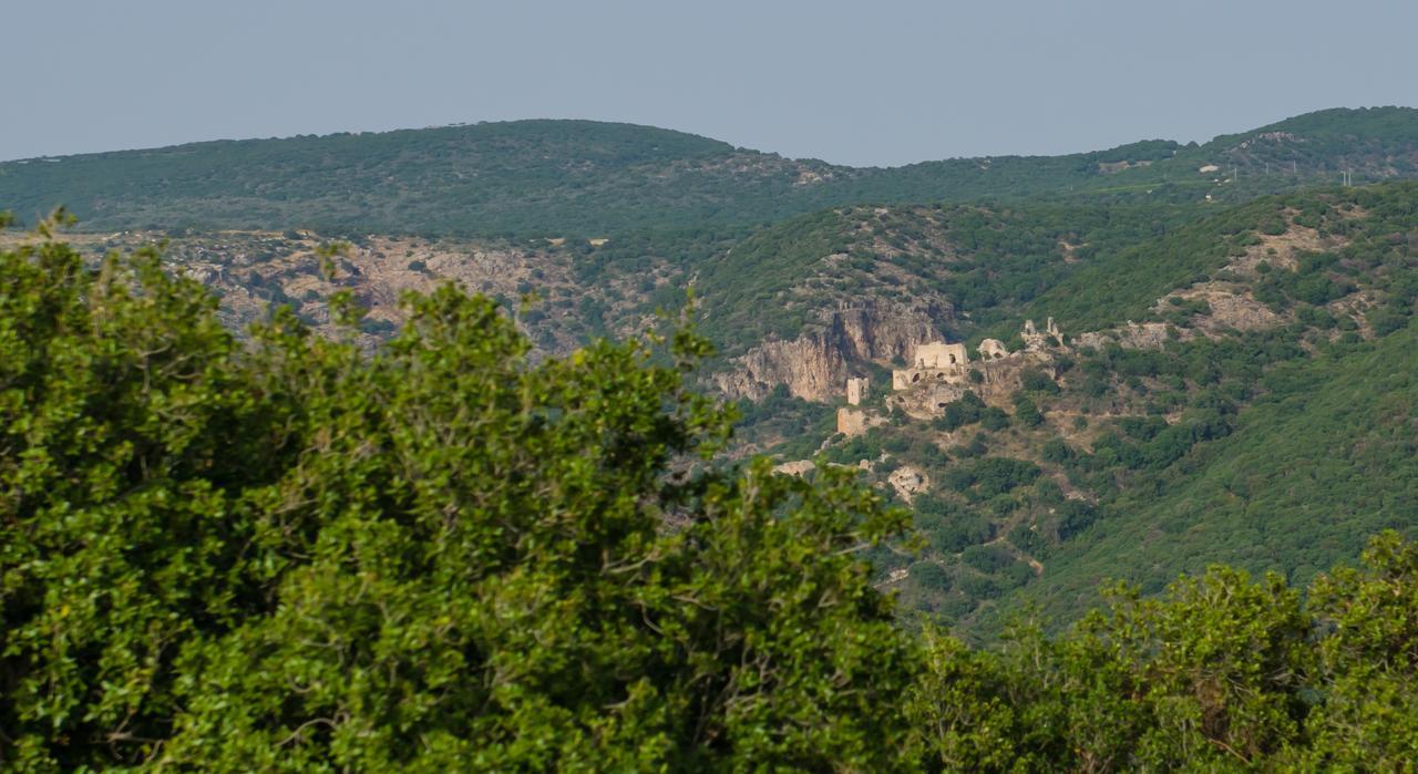 Villa Tal Nof Cabins Manot Exterior foto