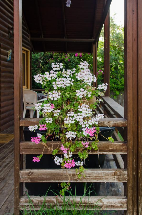 Villa Tal Nof Cabins Manot Exterior foto